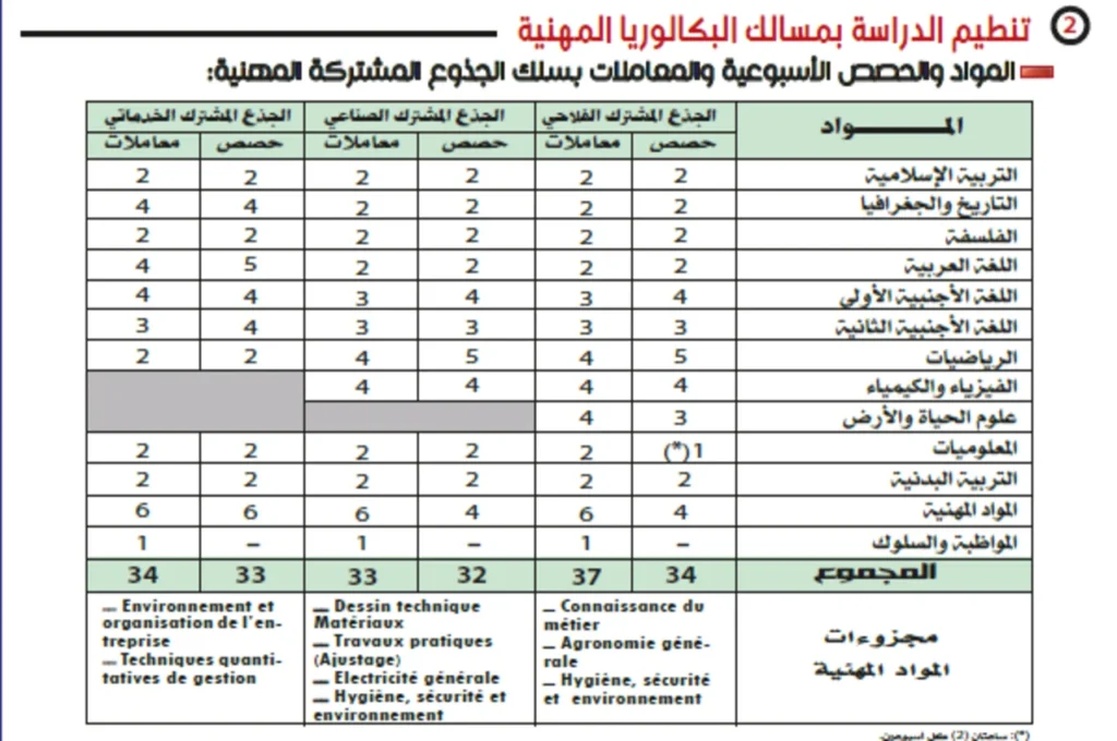 تنظيم الدراسة بمسالك الباكالوريا المهنية