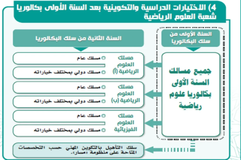 التوجيه بعد السنة الأولى علوم رياضية