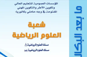 Read more about the article باكالوريا علوم رياضية