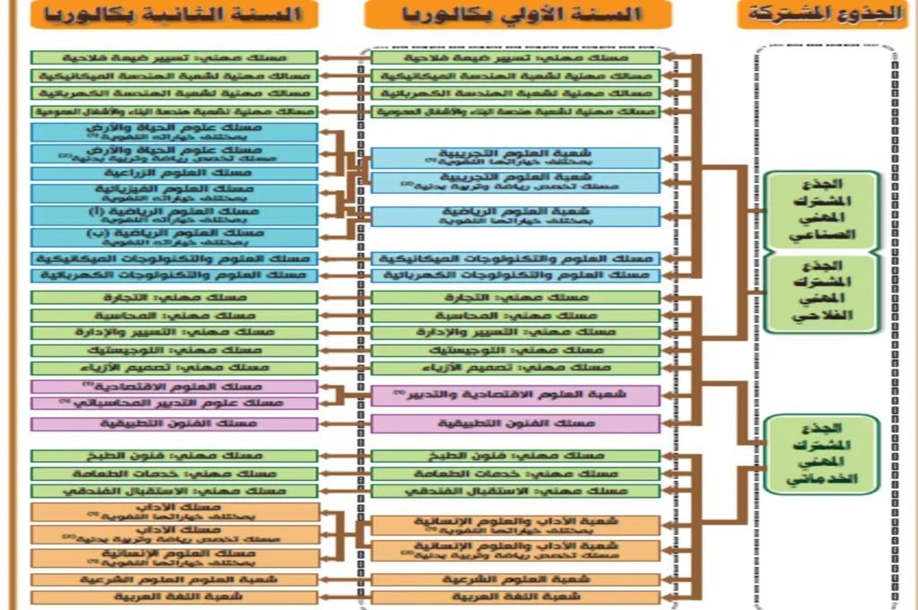 التوجيه بعد الجدوع المشتركة المهنية