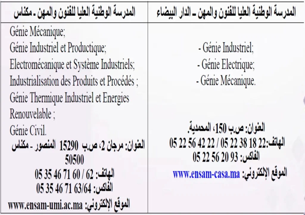 مسالك التكوين بالمدارس الوطنية العليا للفنون والمهن